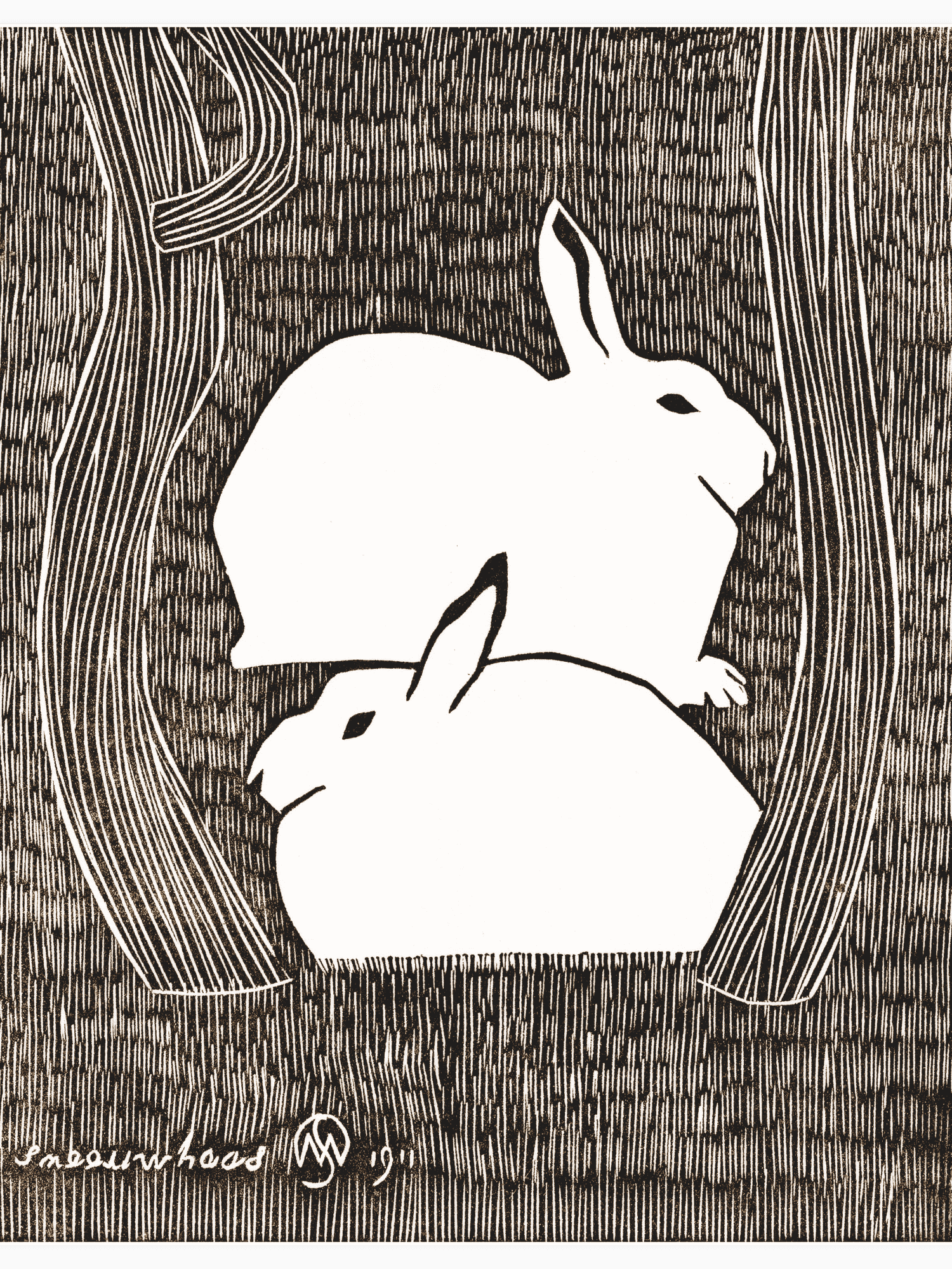 Bild på Twee sneeuwhazen