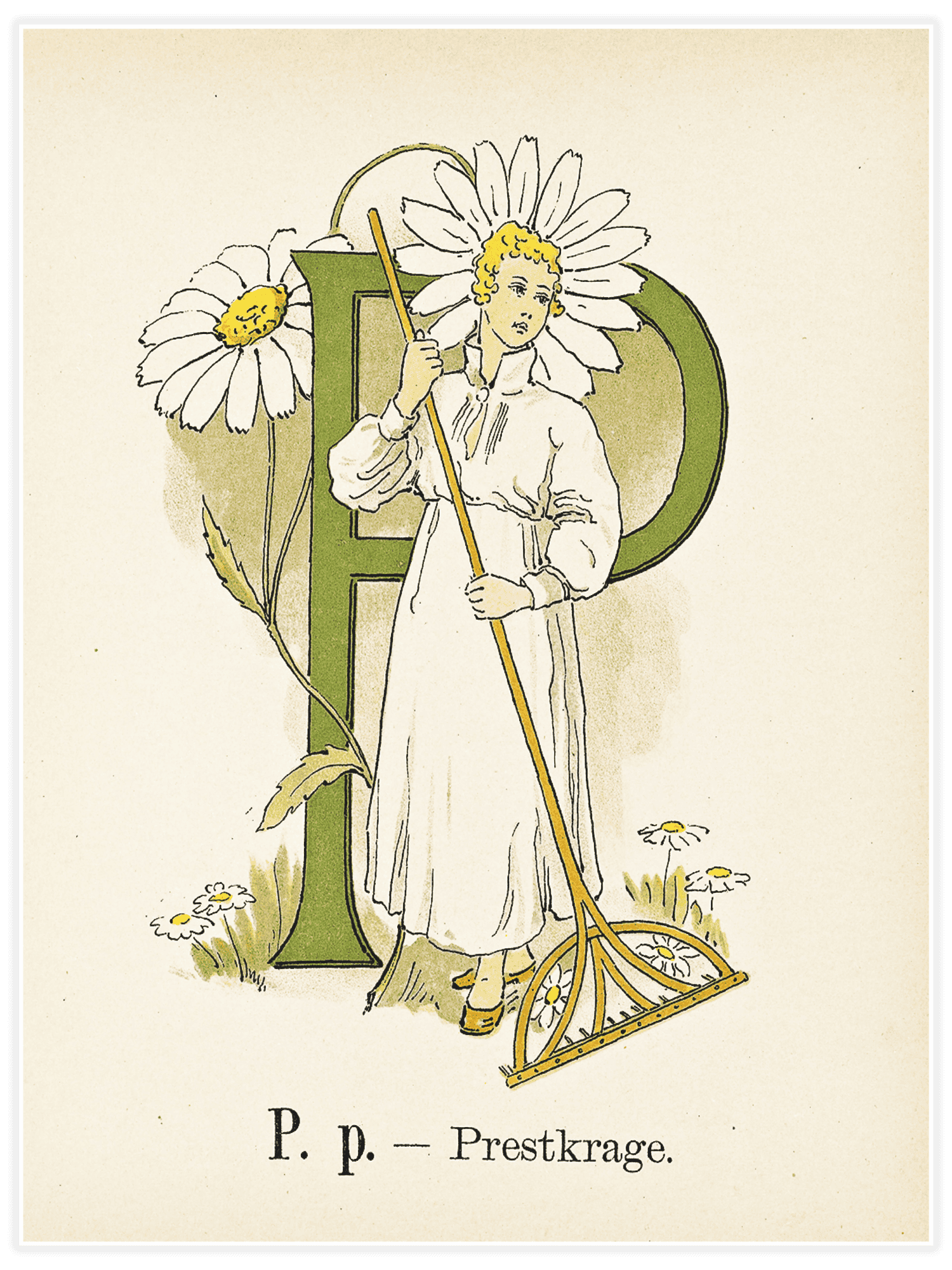 Bild på Prinsarnes blomsteralfabet - P