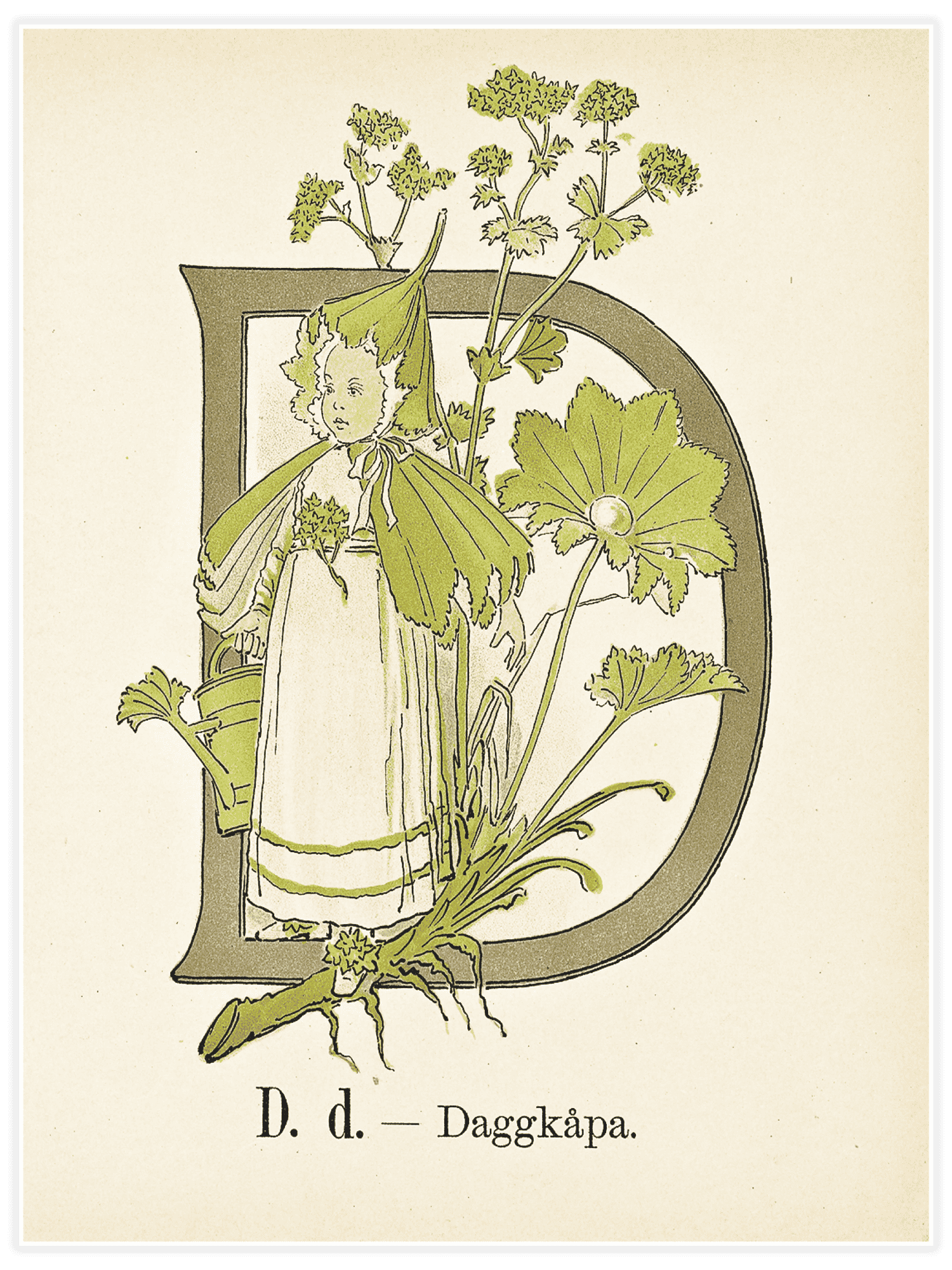 Bild på Prinsarnes blomsteralfabet - D