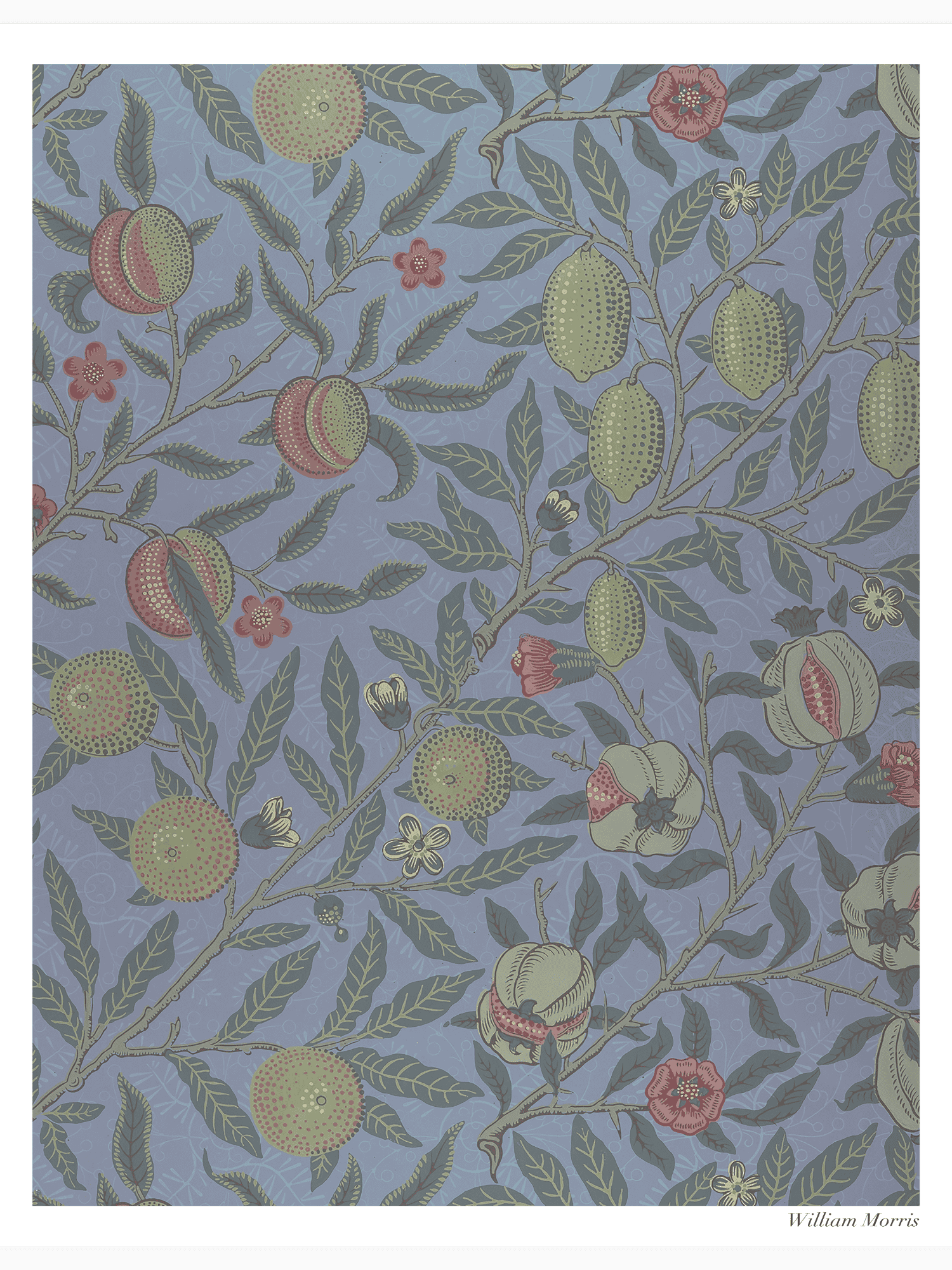 Bild på Fruit or Pomegranate