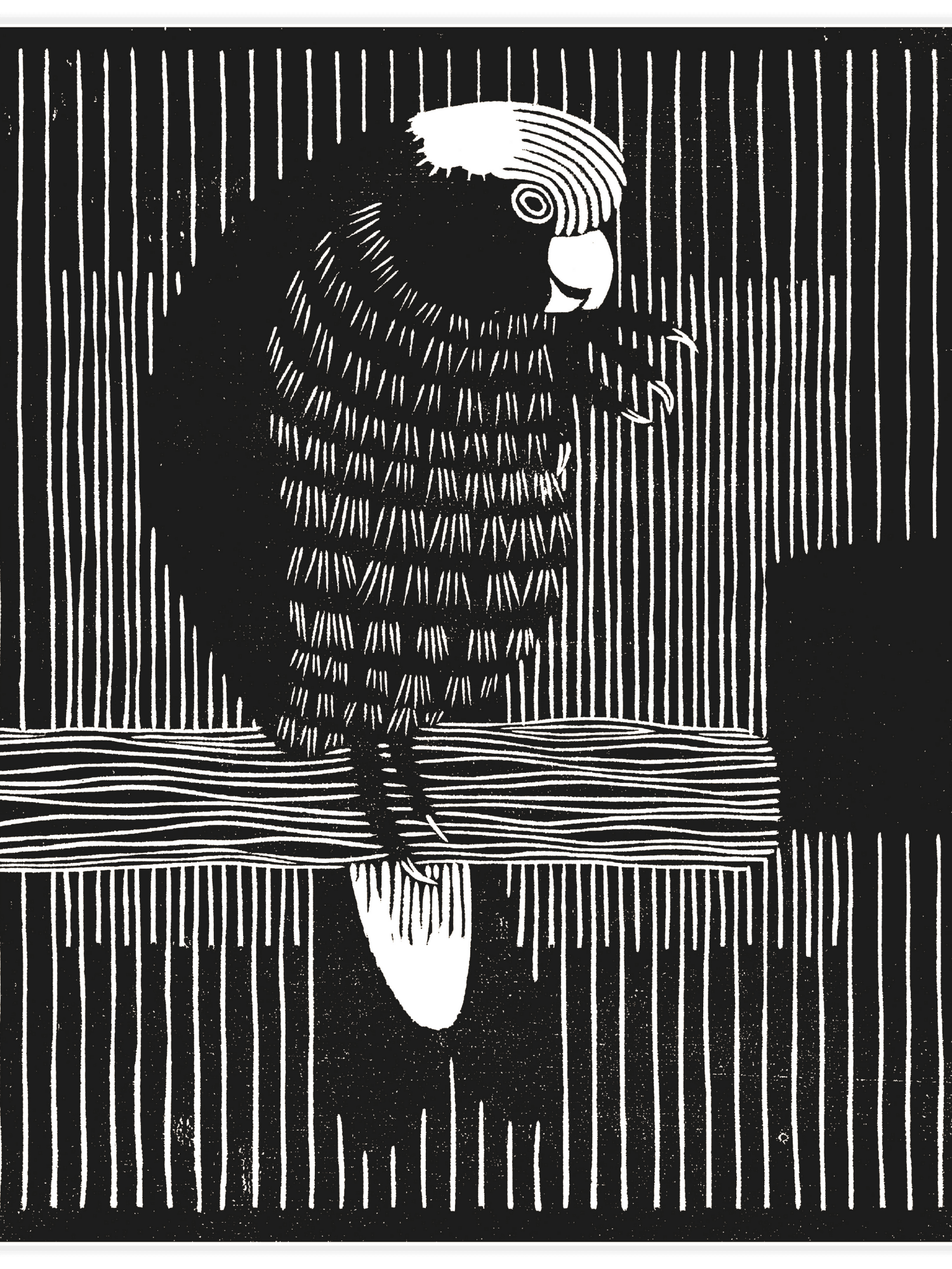 Bild på Rosekaketoe