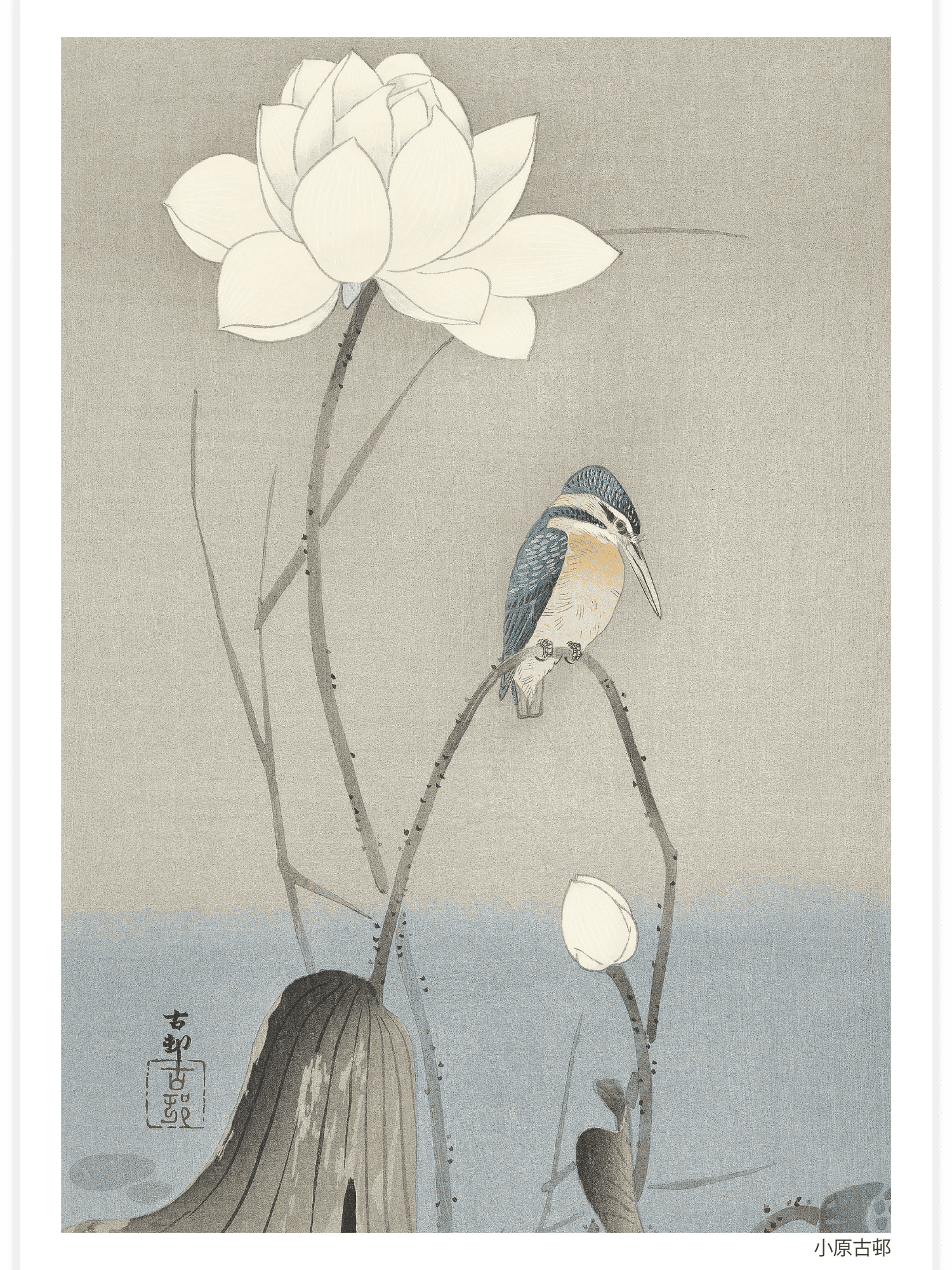 Bild på Kingfisher with Lotus Flower