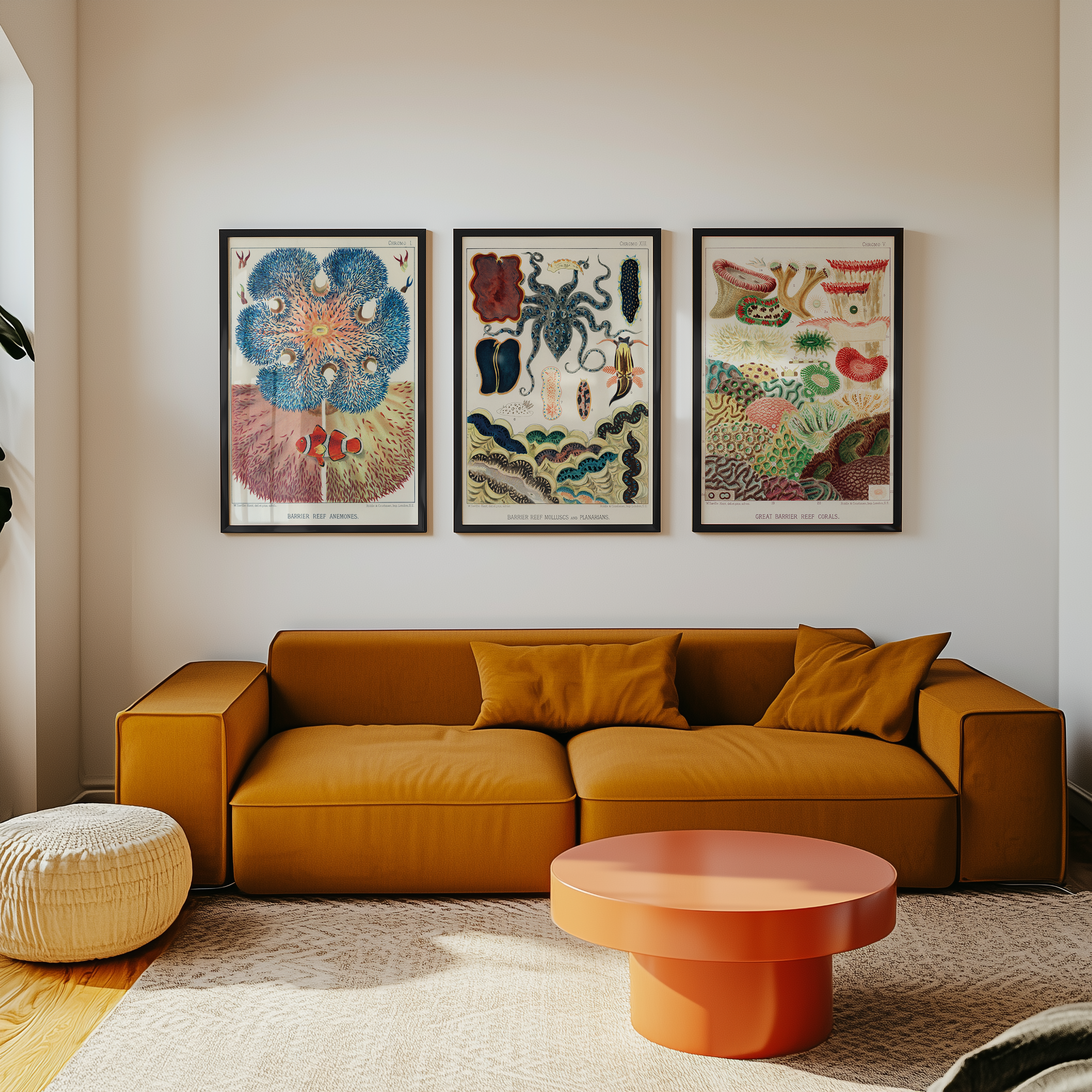 Bild på Barrier Reef Anemones No.2