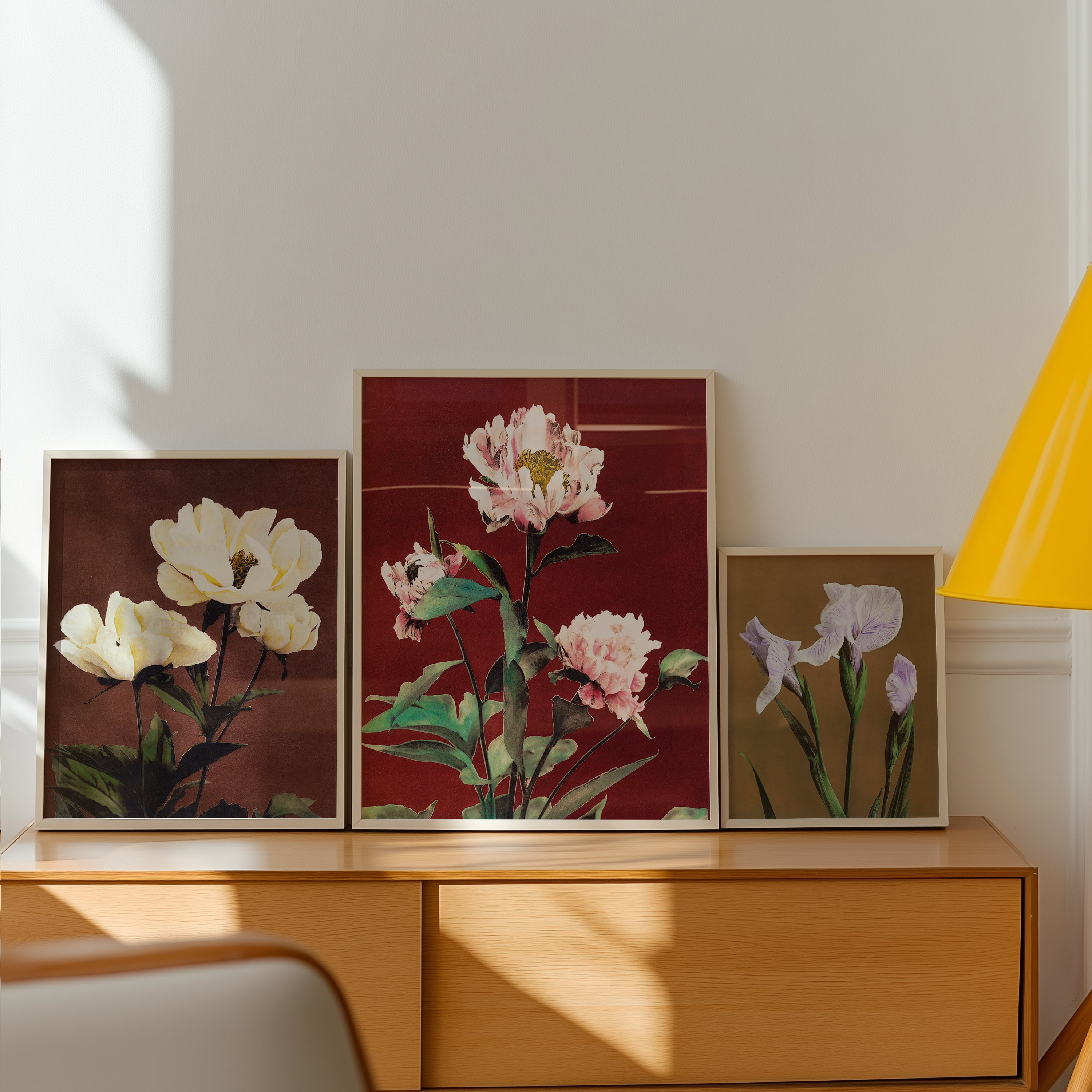 Bild på Hærdaceous Peony No.2