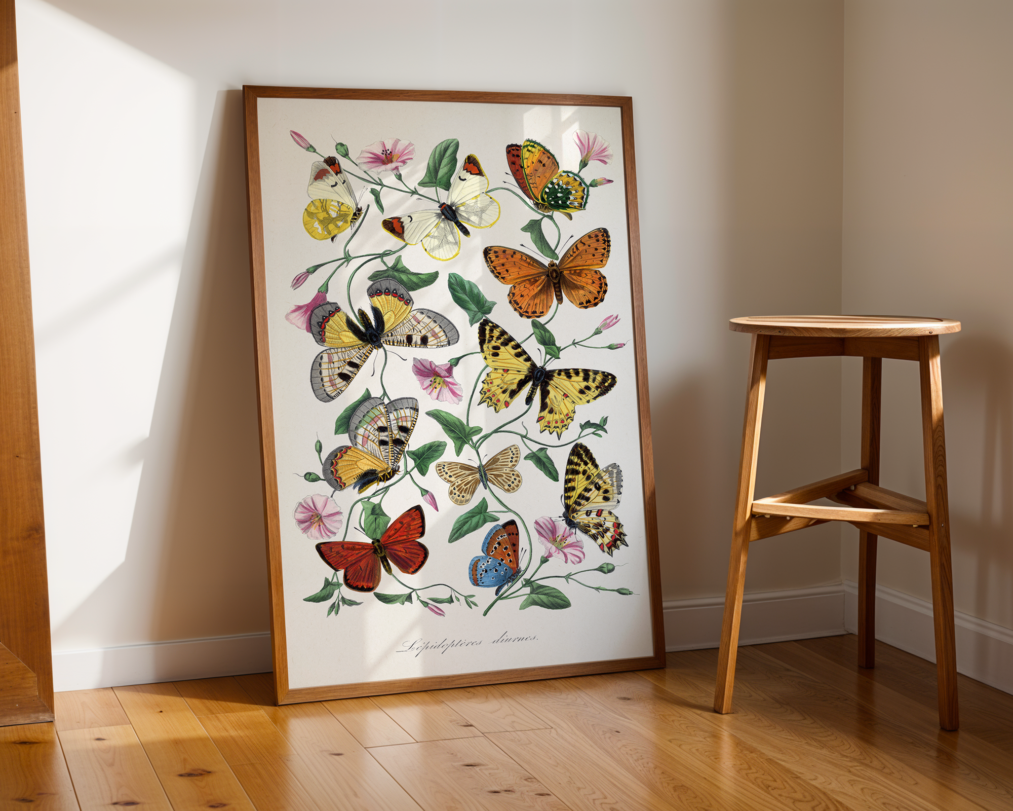 Bild på Butterfly and moth painting