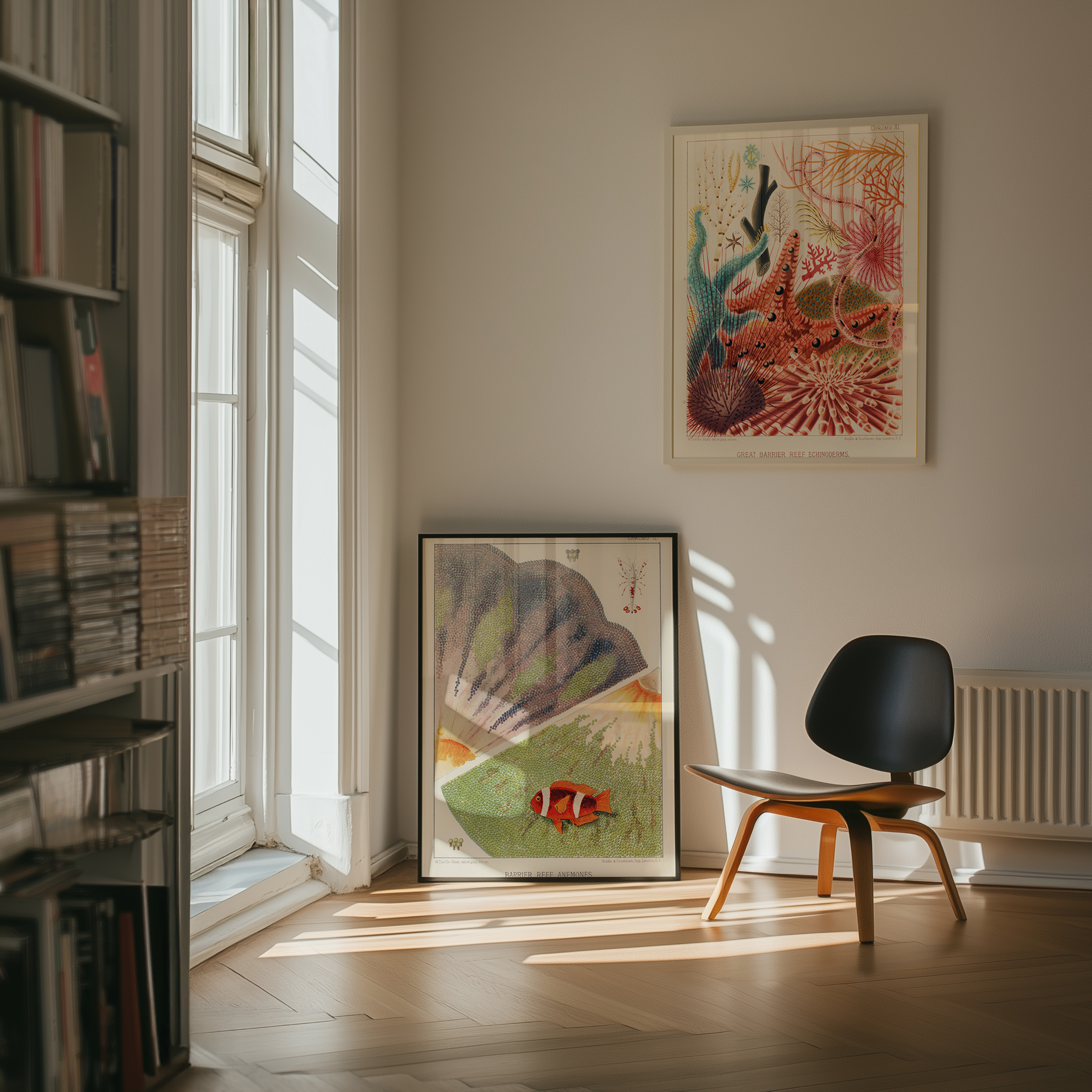 Bild på Great Barrier Reef Echinoderms