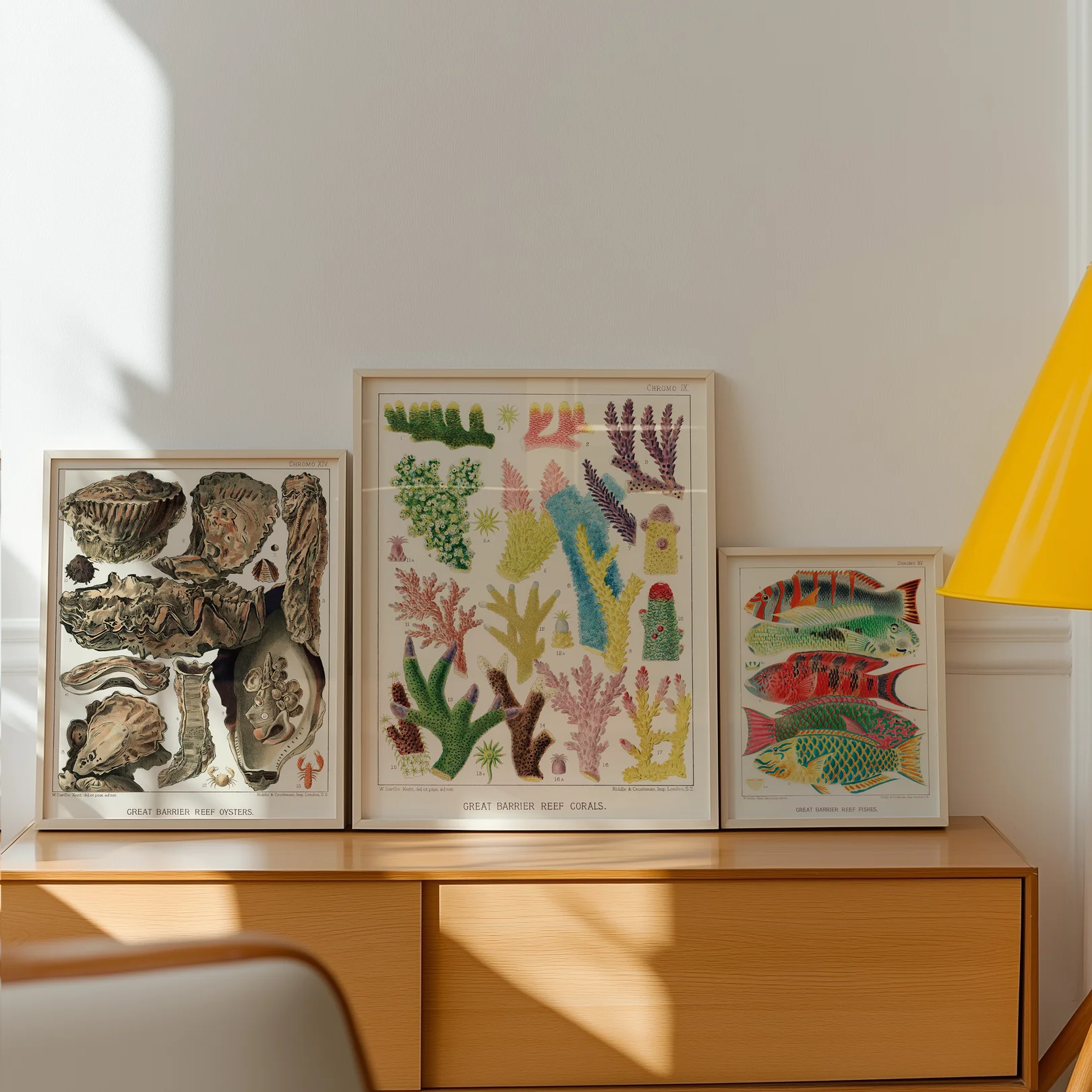 Stora barriärrevet posterpaket