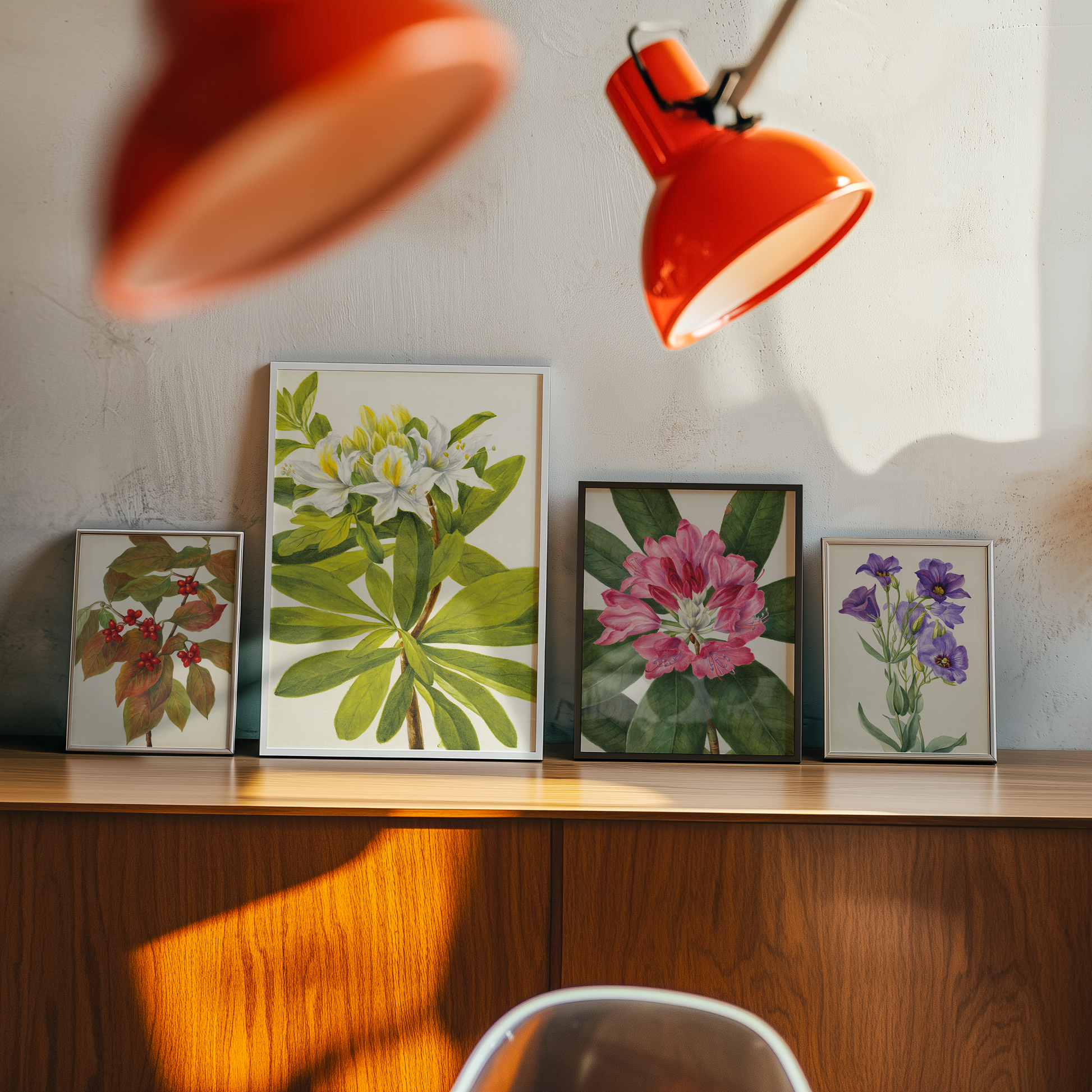 Bild på Mountain Rose-Bay (Rhododendron catawbiense)