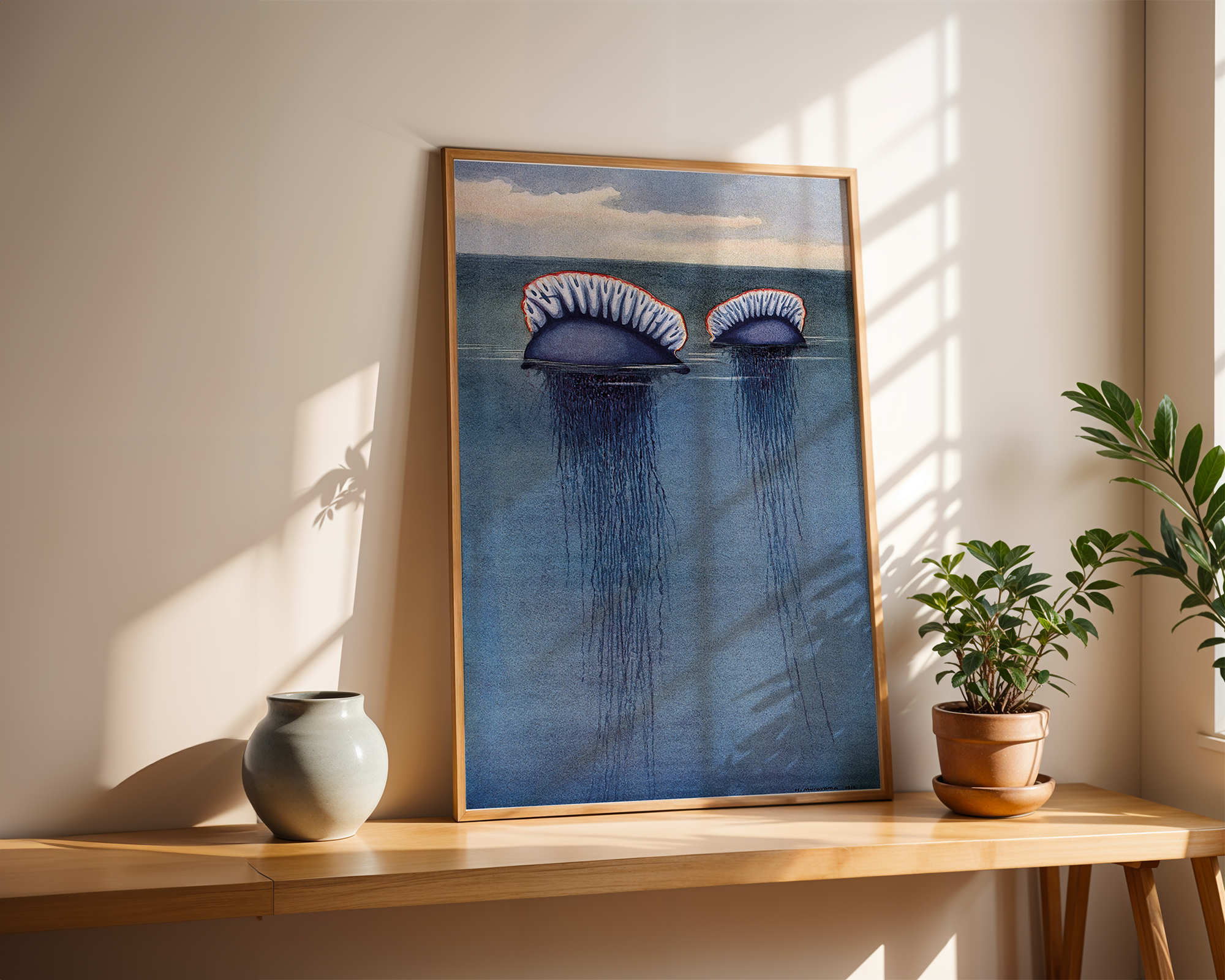 Bild på Two Portuguese man o’ war