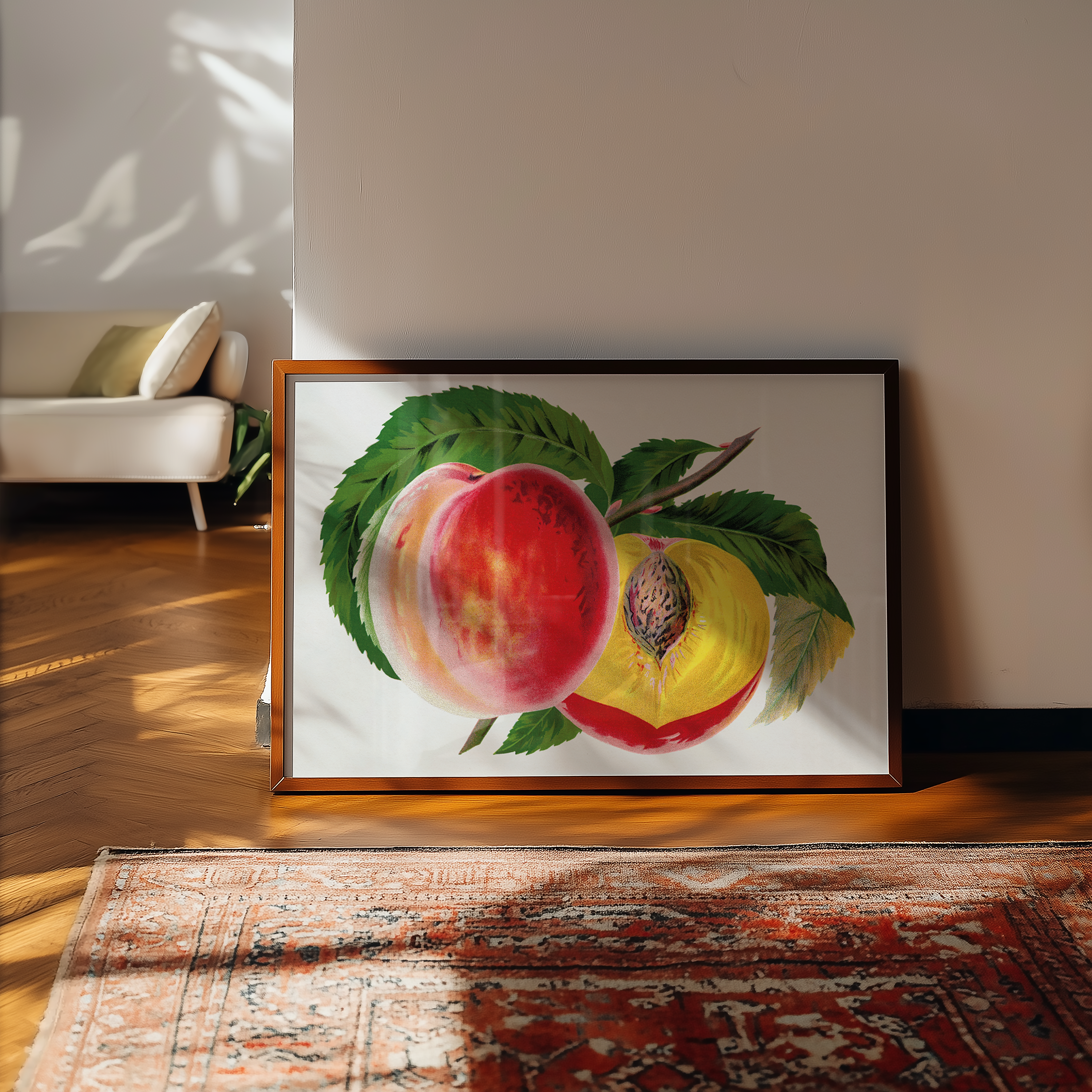 Bild på Hale's Hardy Peach