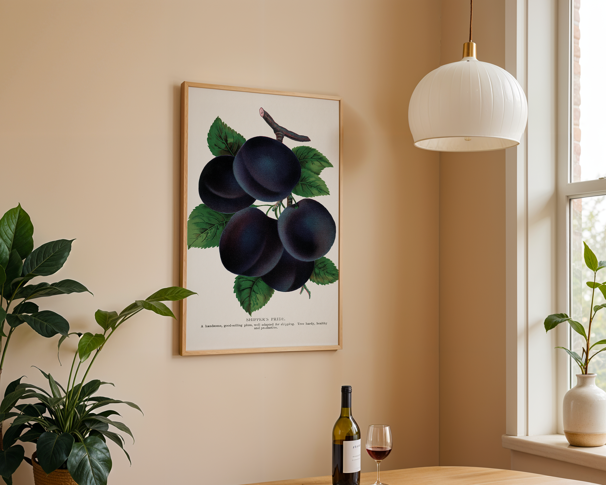 Bild på Shippers Pride Plum