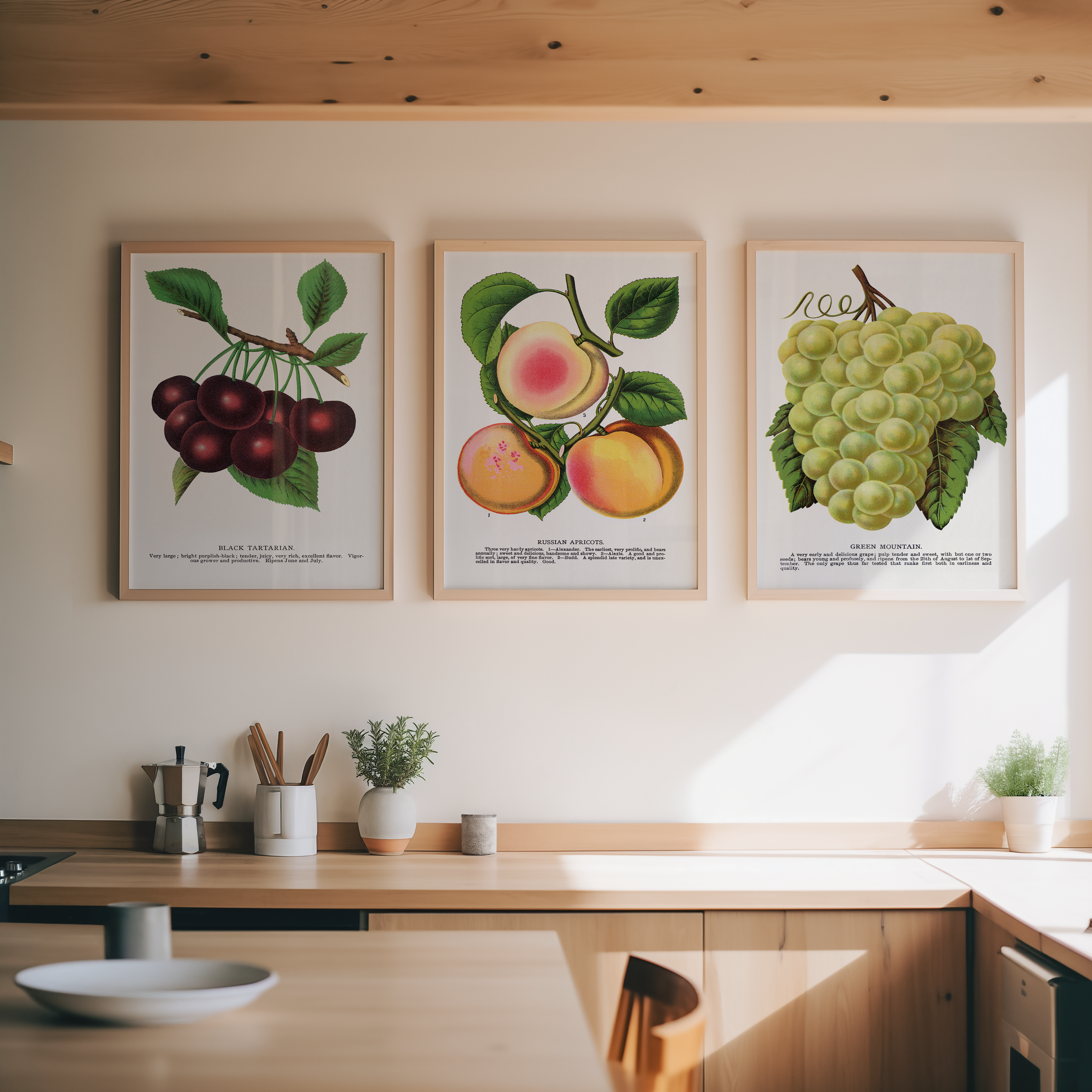 Bild på Russian Apricots