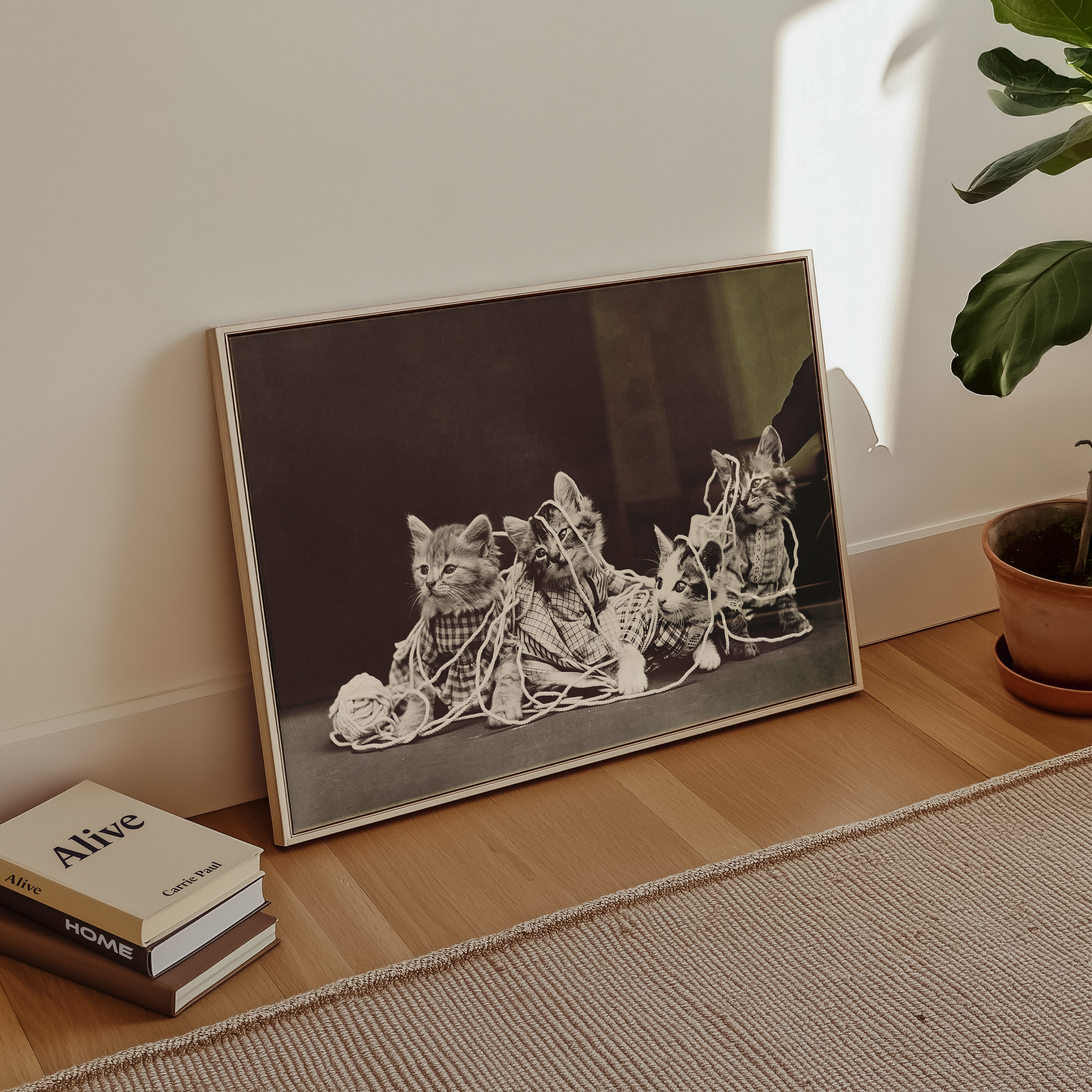 Bild på The entanglement