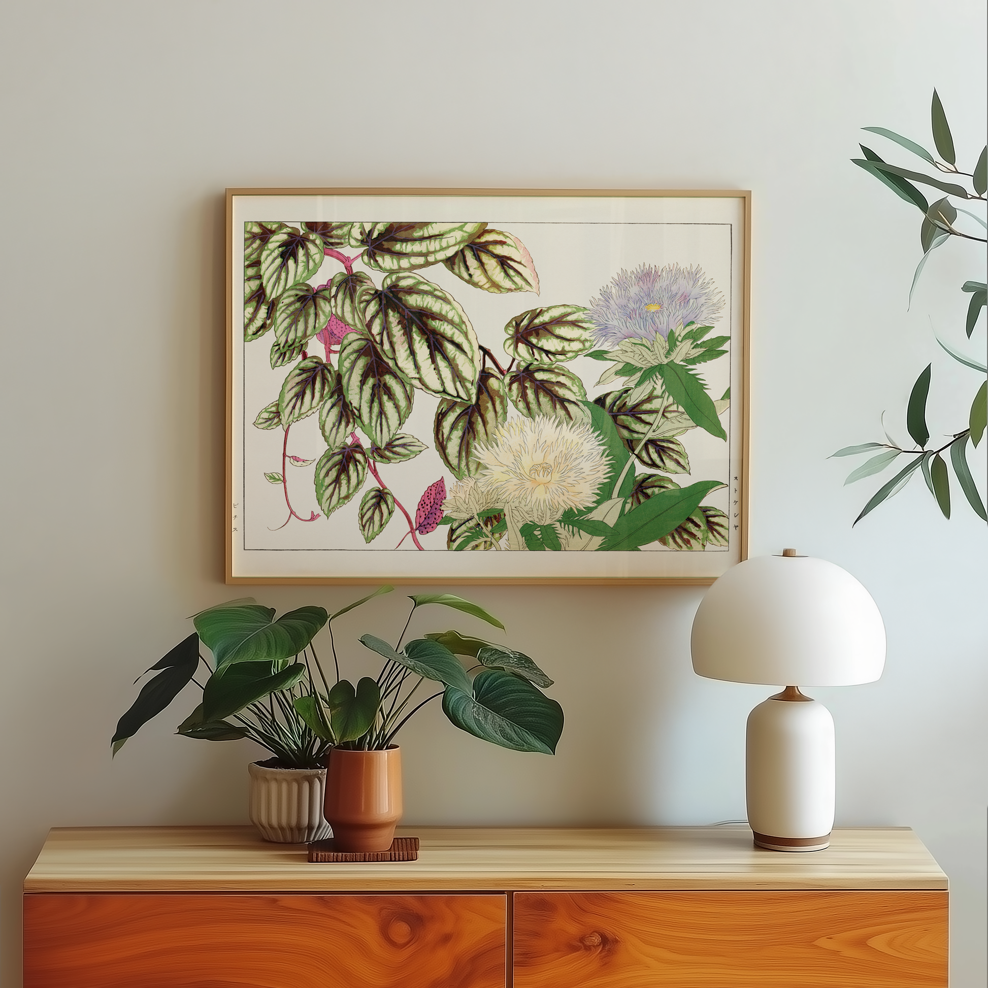 Bild på Vitis & Stokesia flower