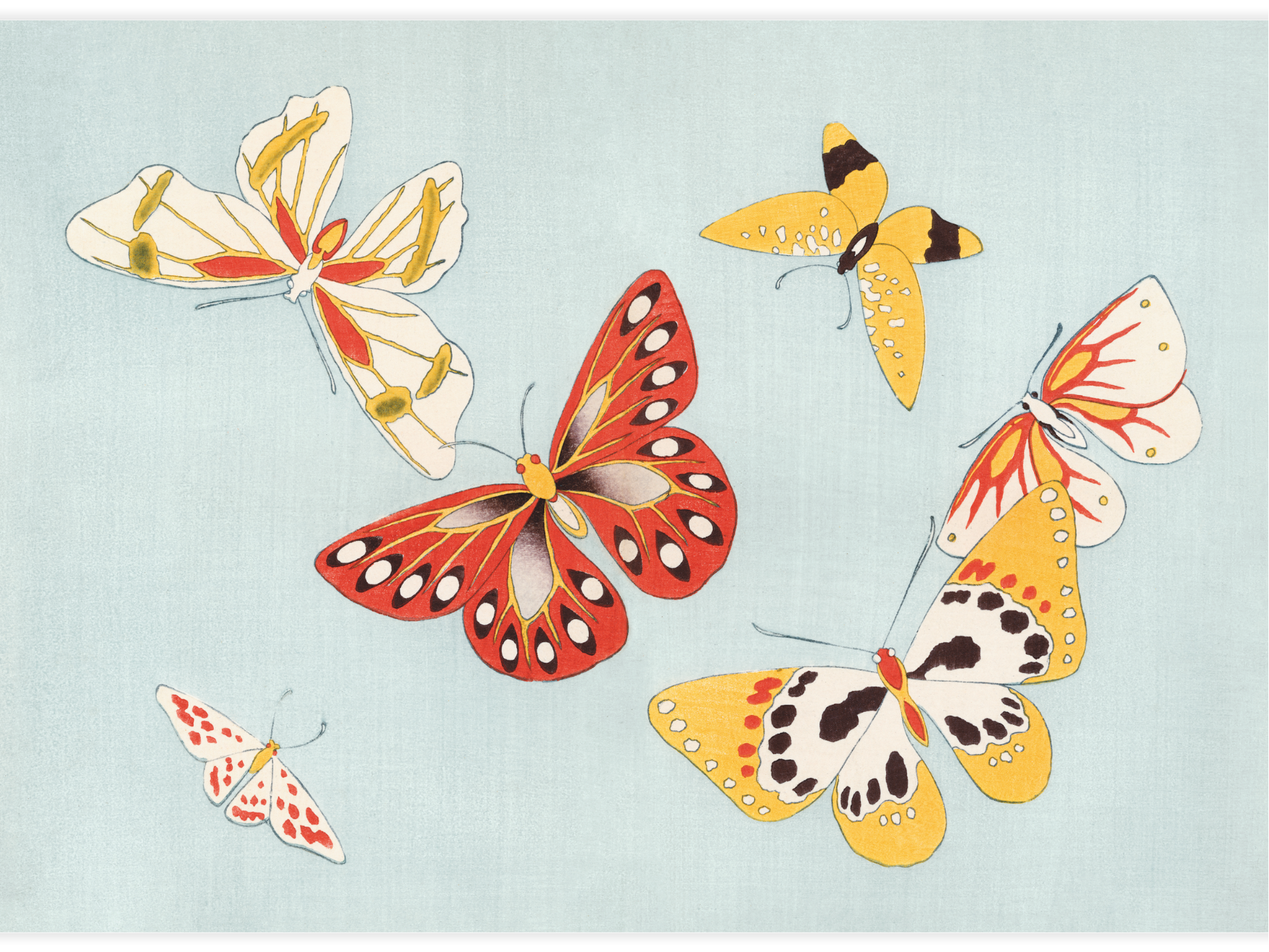 Japanese Butterfly No.7