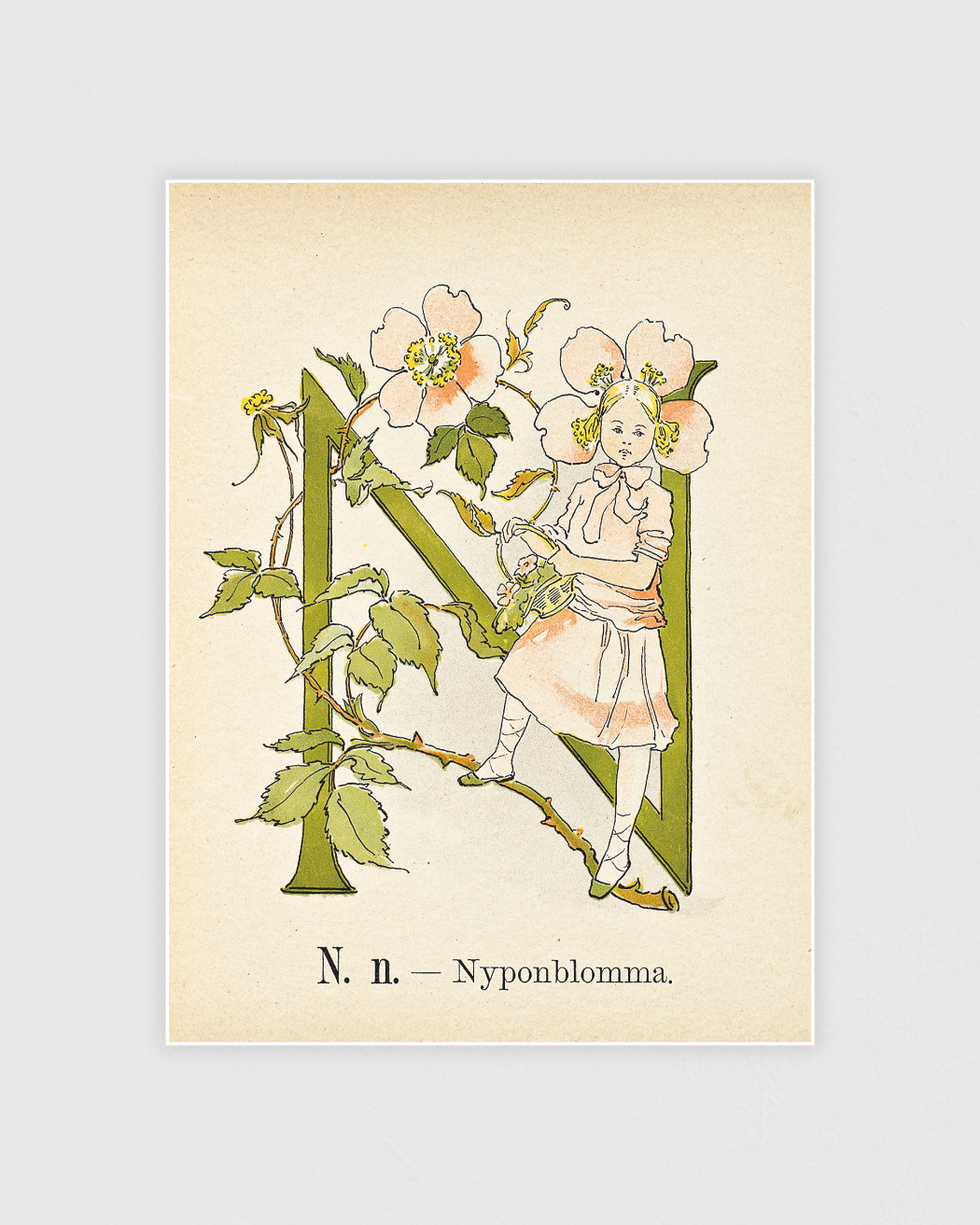 Prinsarnes blomsteralfabet - N