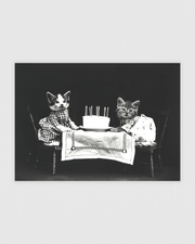 The birthday cake