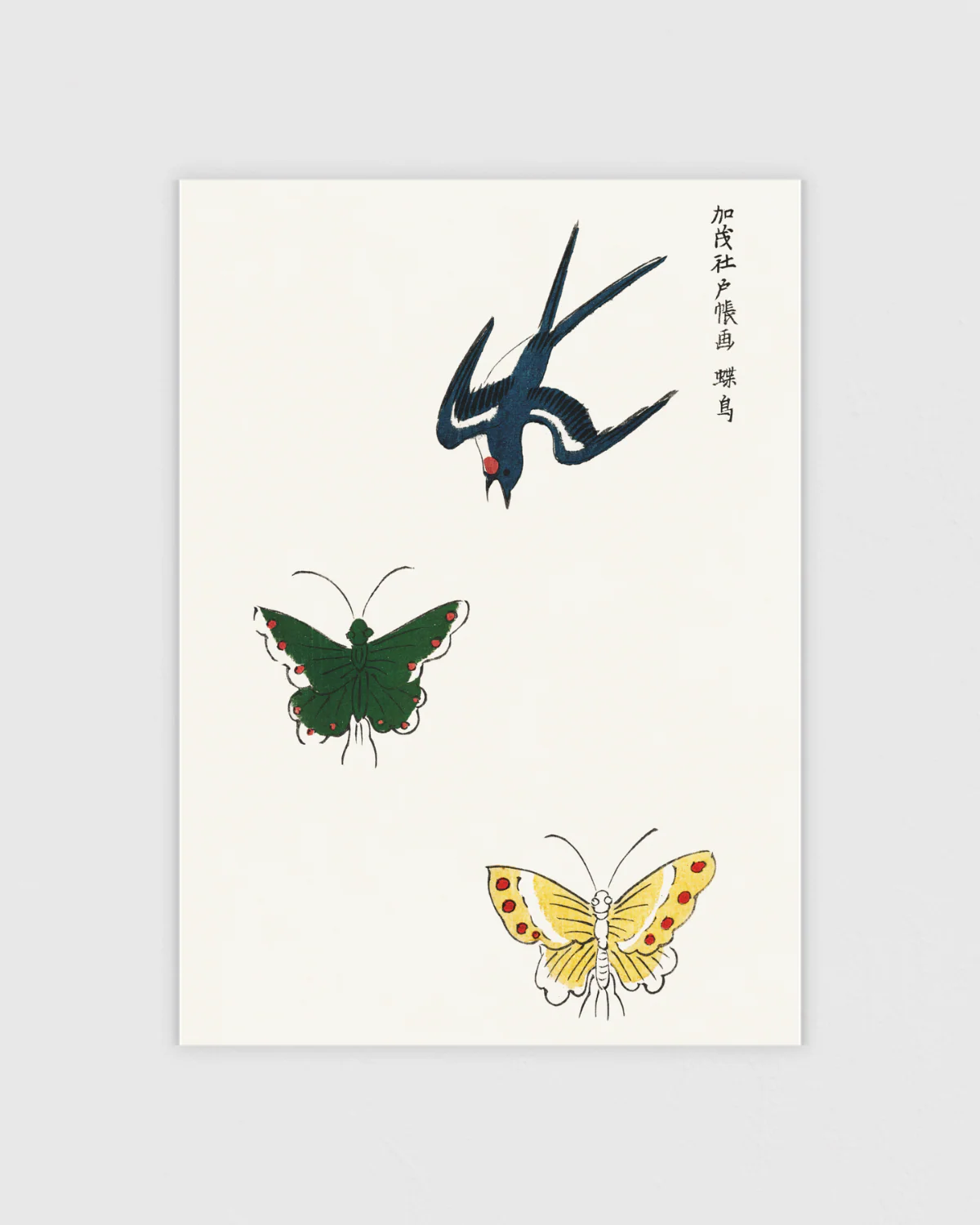 Taguchi Tomoki Posterpaket