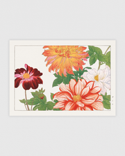 Dahlia flower