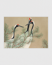 Cranes from Momoyogusa