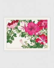 Petunia flower