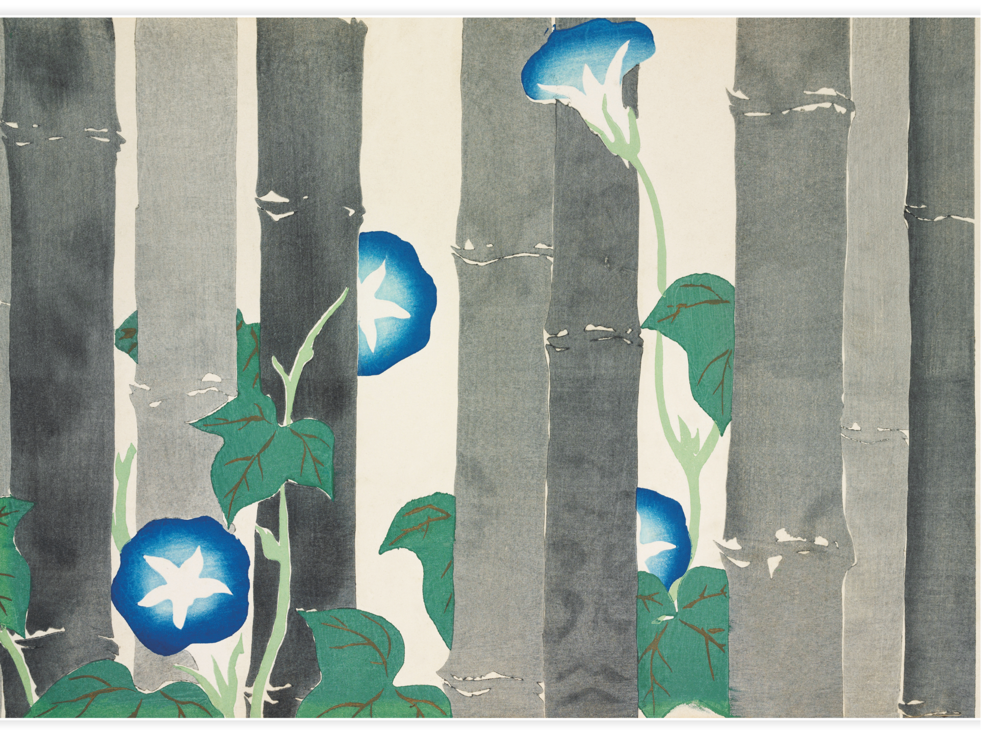 Morning glories from Momoyogusa