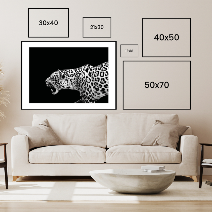 Leopard Poster