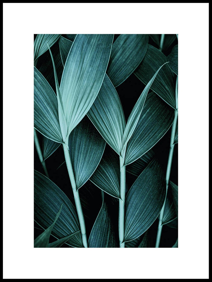 Exotiska Blad Poster