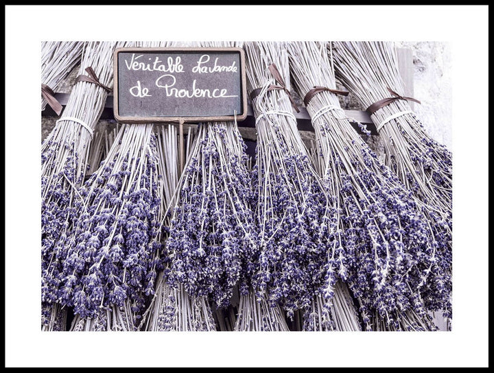 Lavendel På En Bänk