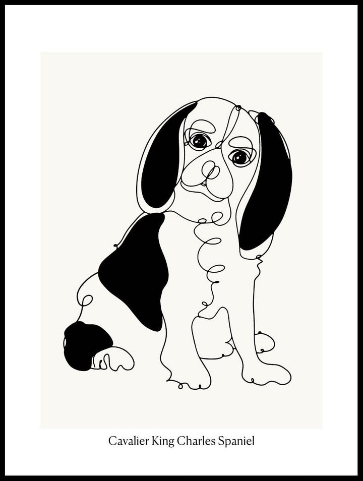 Cavalier King Charles Spaniel Poster