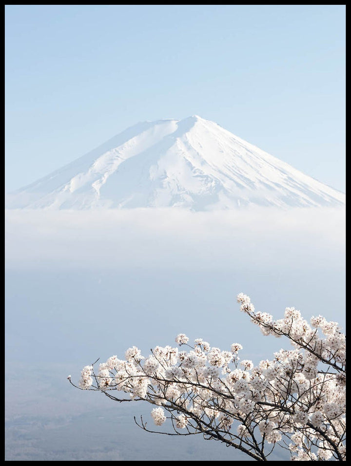 Fuji Poster