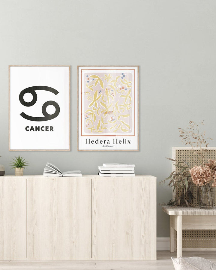 Hedera Helix Pink Poster