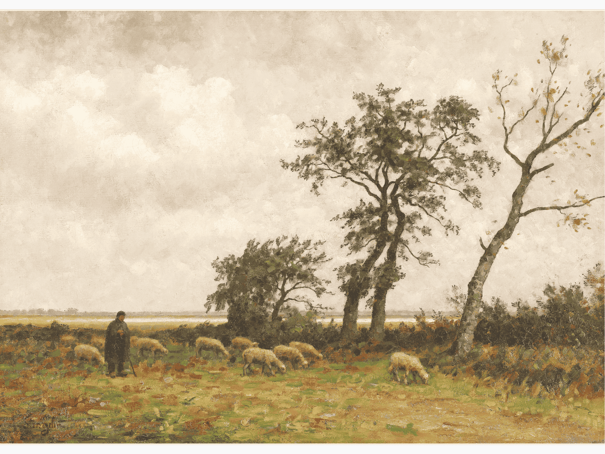 Landscape in Drenthe