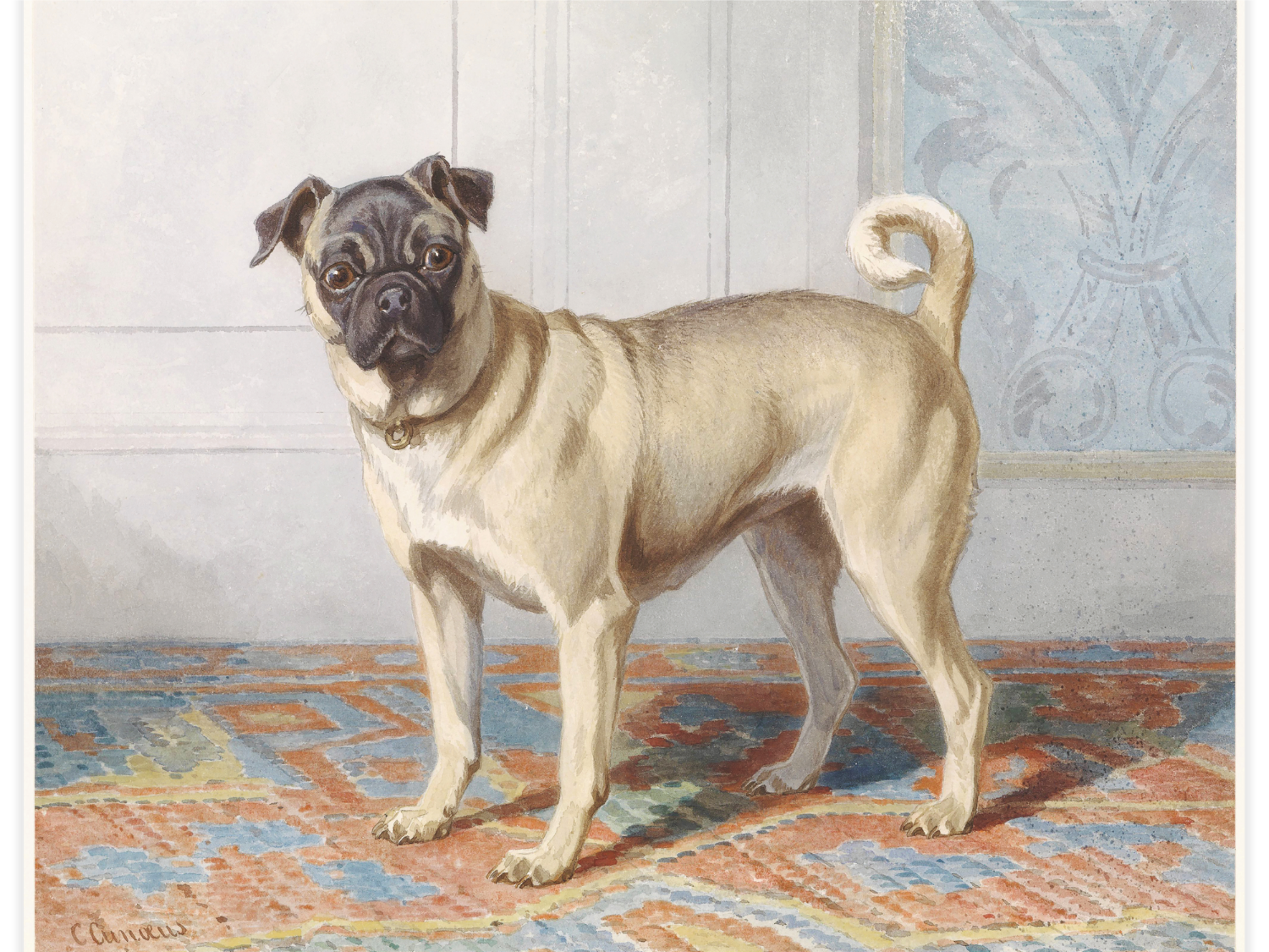 Portrait of Edwin vom Raths Pug