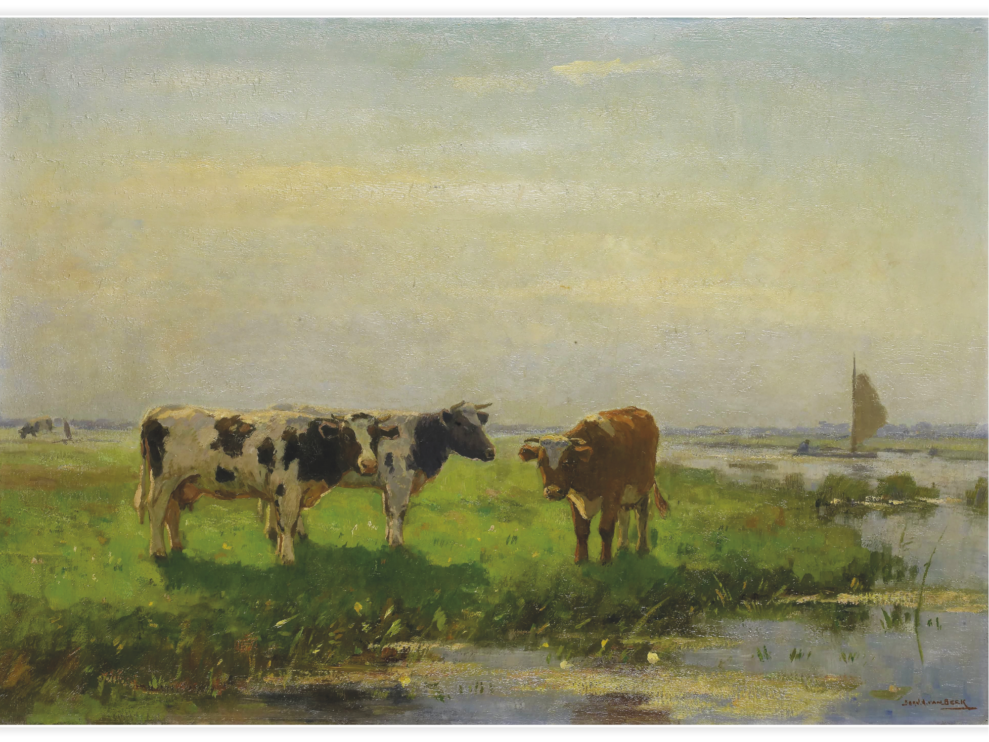 Cows in the Meadow