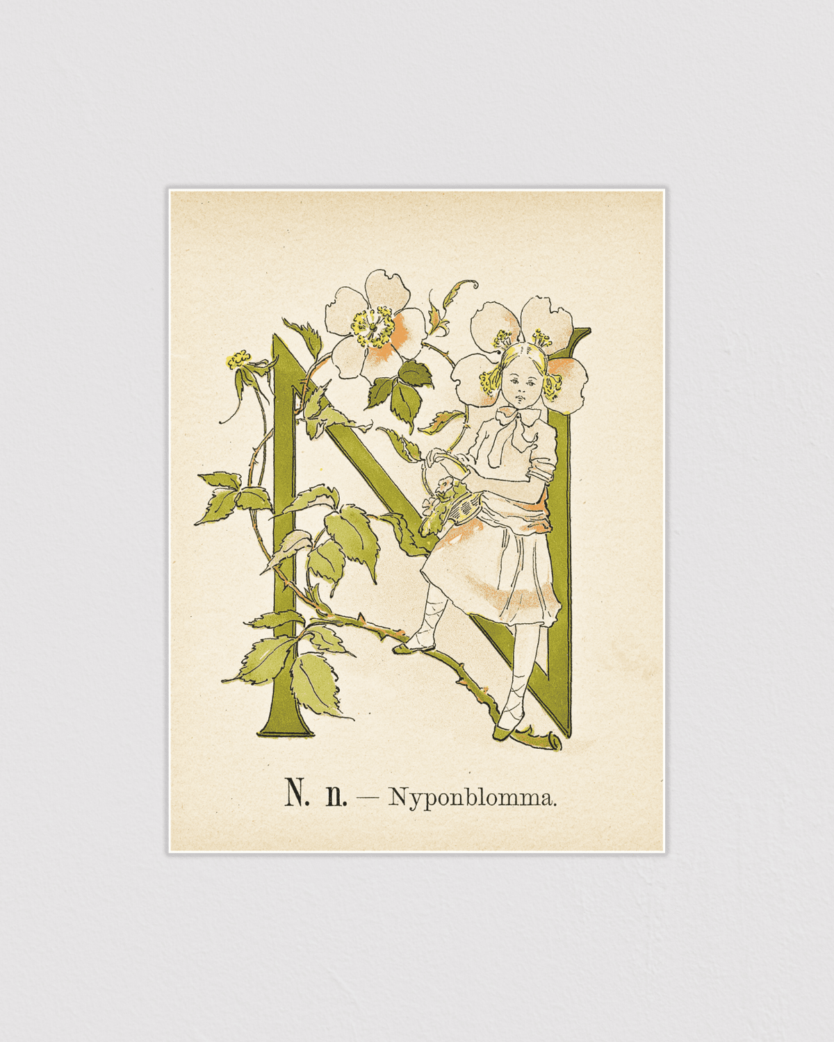 Prinsarnes blomsteralfabet - N