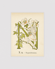 Prinsarnes blomsteralfabet - N