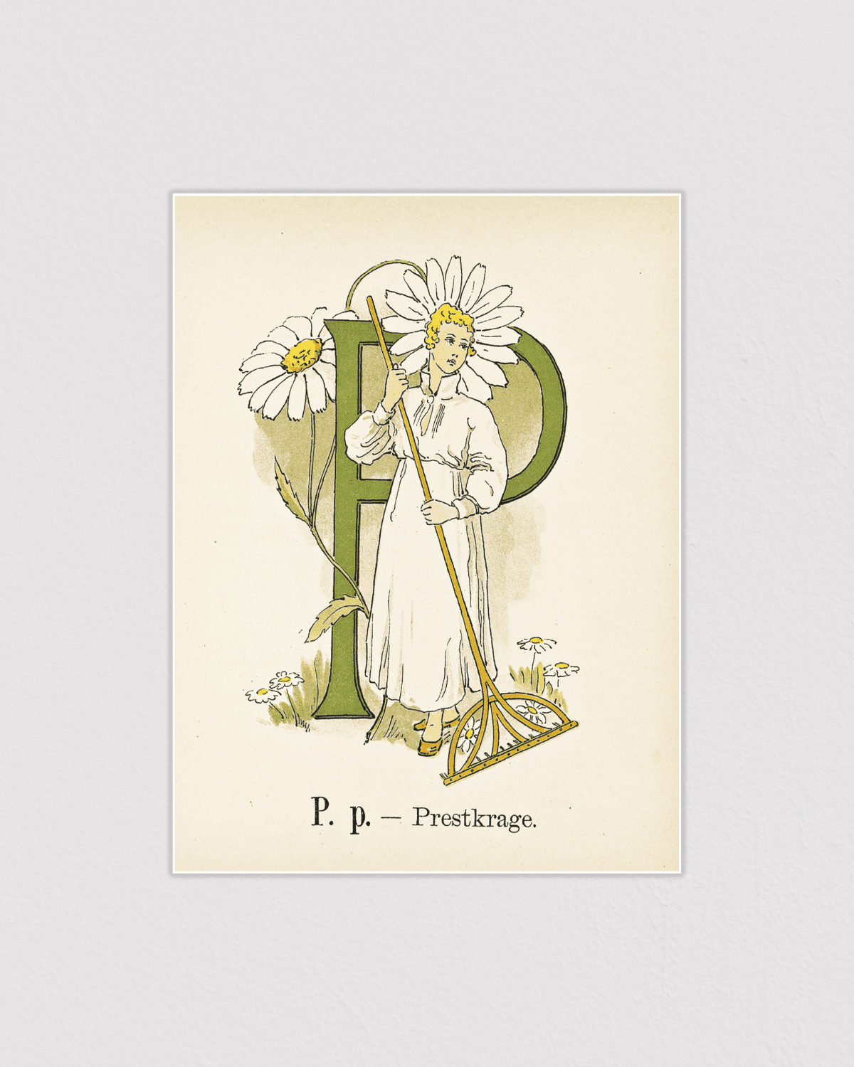 Prinsarnes blomsteralfabet - P