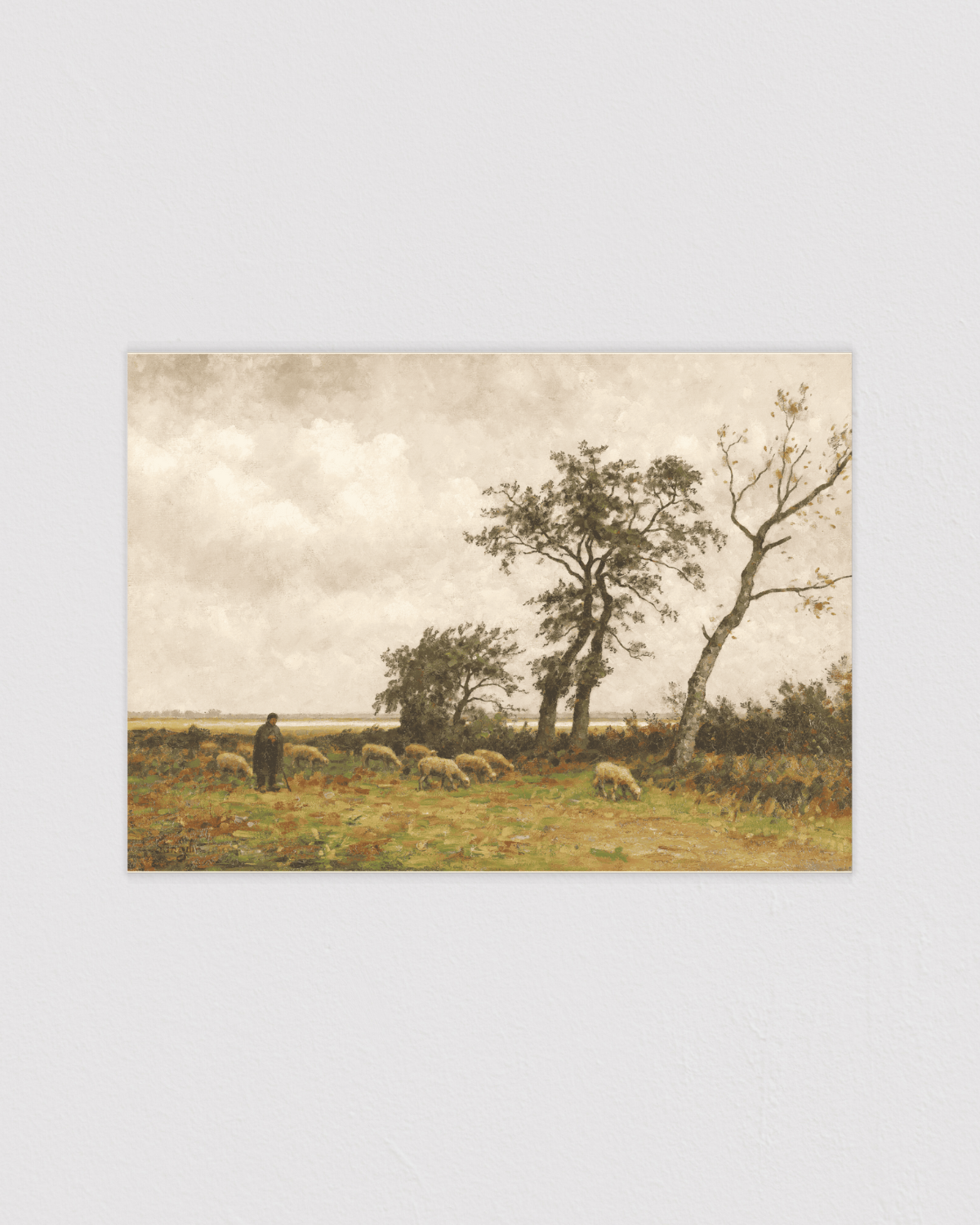 Landscape in Drenthe