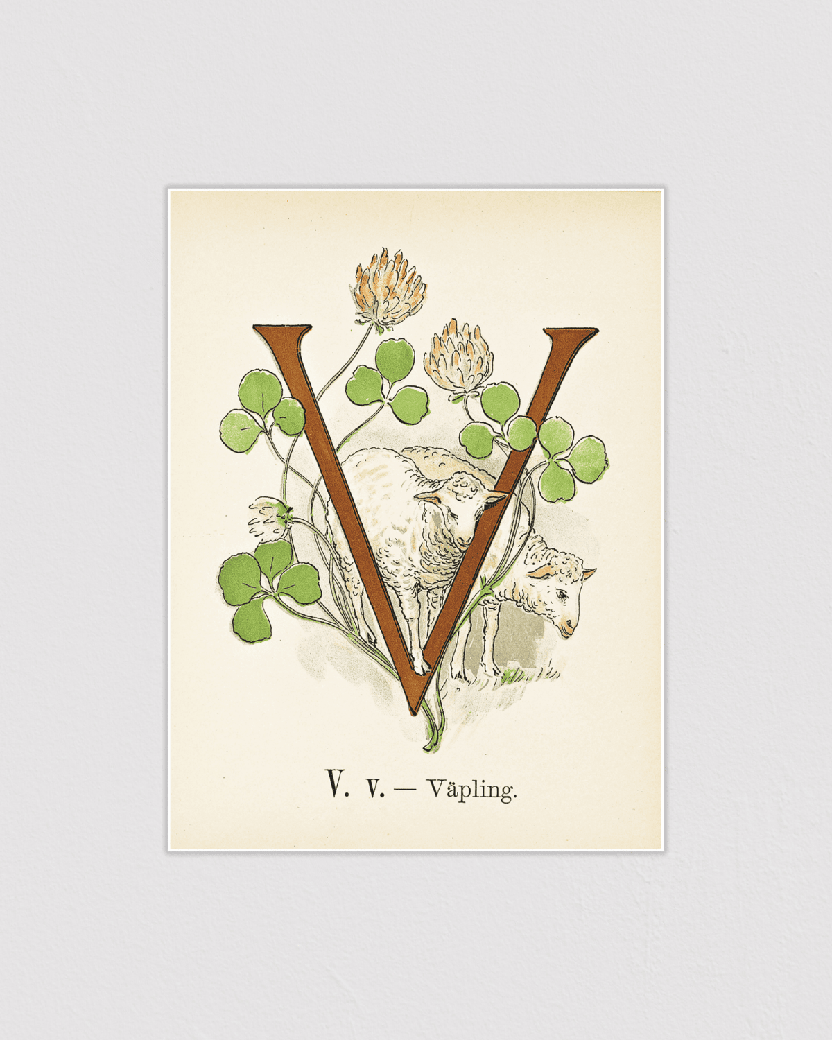 Prinsarnes blomsteralfabet - V