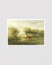 Cows at a pond