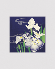 Irises