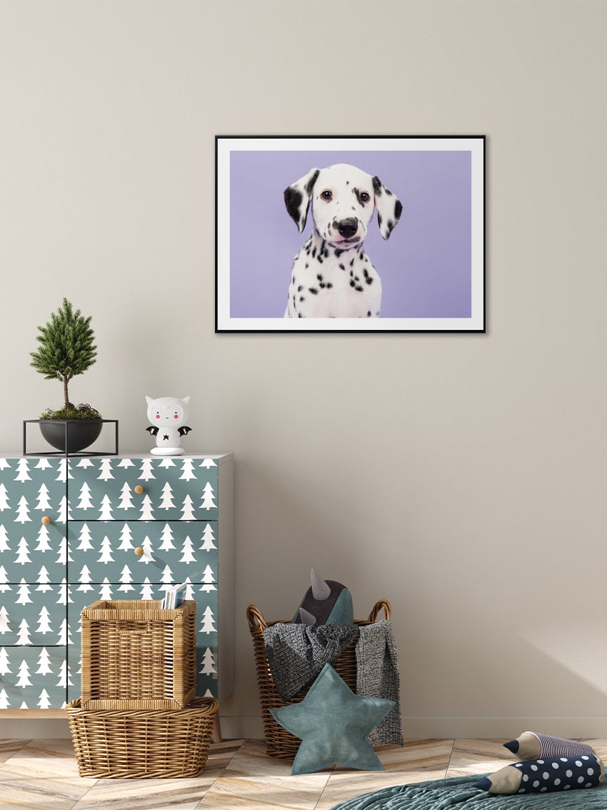 Dalmatin Hundvalp Poster