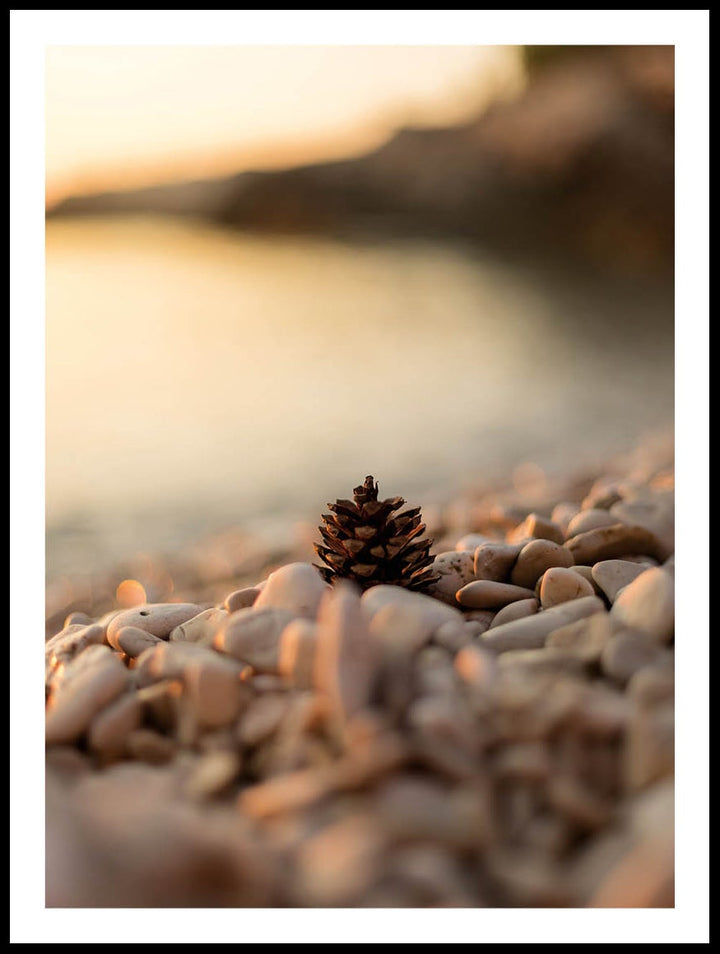 Kotte På Strand Poster