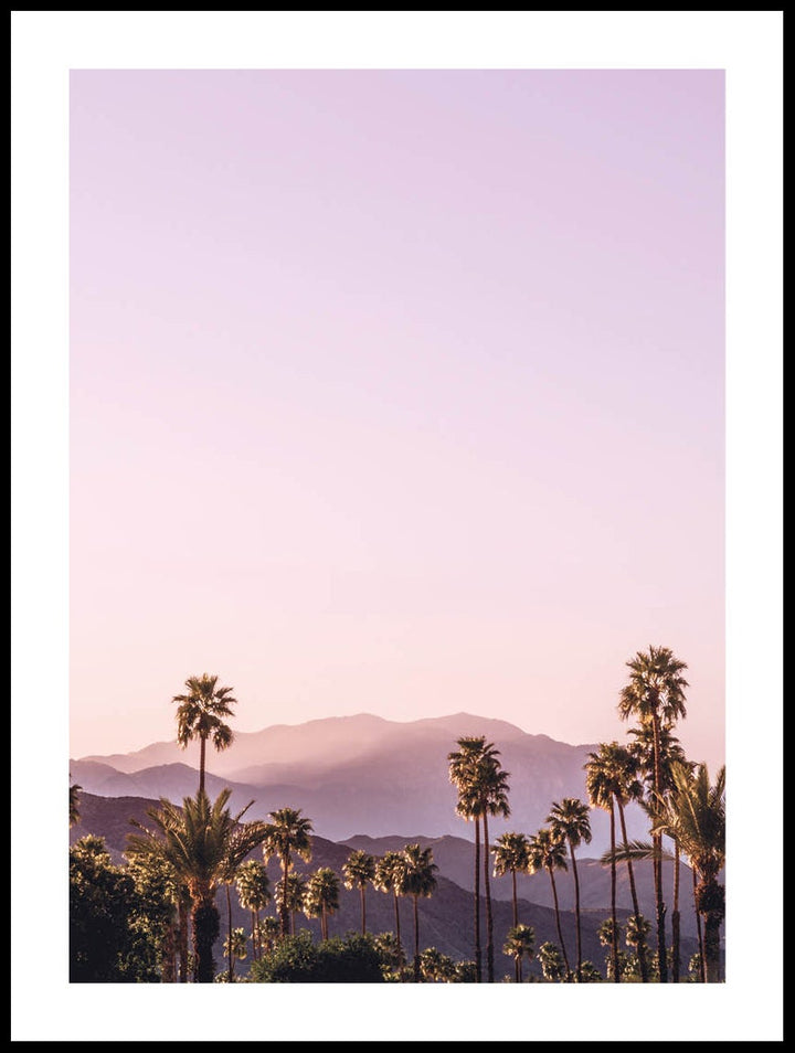 Palm Springs Landskap Poster