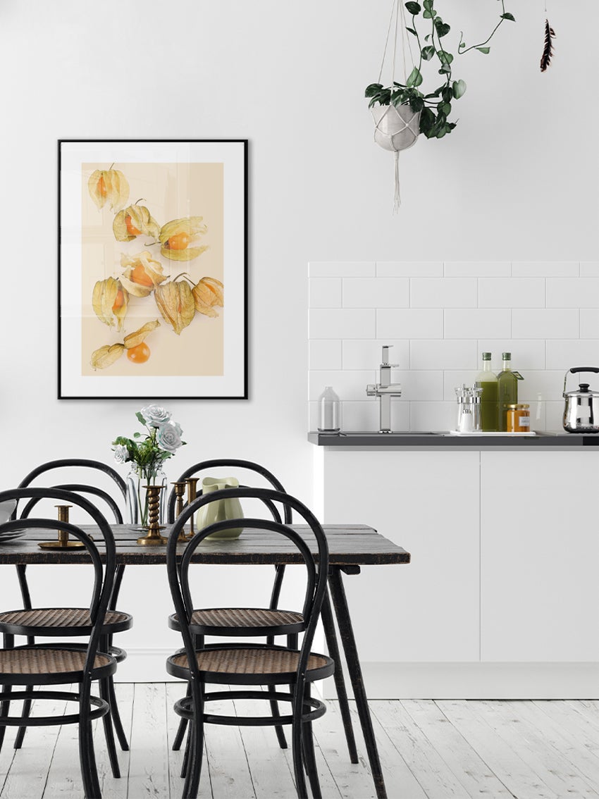 Physalis Poster