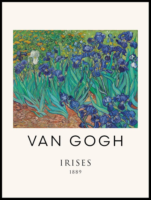 P765010208_Irises_By_Vincent_Van_Gogh_30x40_WEBB.jpg