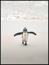 pingvin_30x40_WEBB.jpg