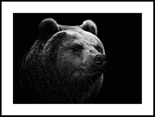 björn_30x40_WEBB.jpg