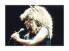 P7650255-Tina Turner No.2_30x40_WEBB.jpg